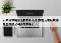 云象区块链是怎样的公司开发的[云象区块链是怎样的公司开发的呢]